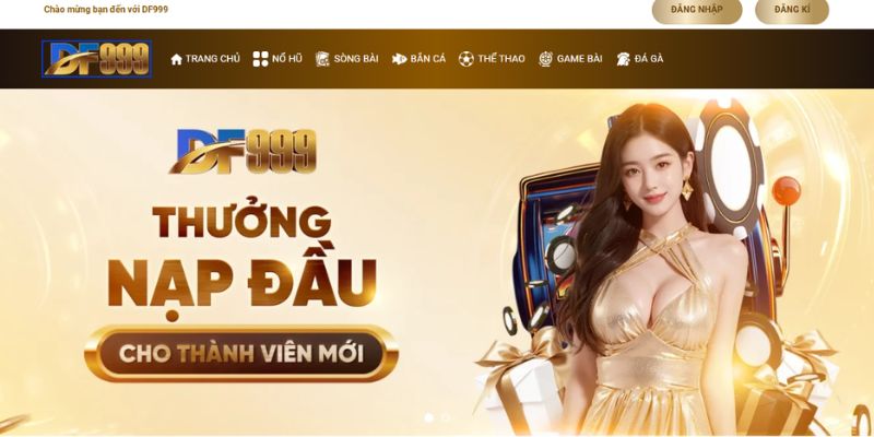 Giới thiệu tổng quan về df999