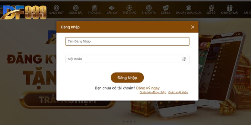 Hướng dẫn các bước đăng nhập df999 chi tiết