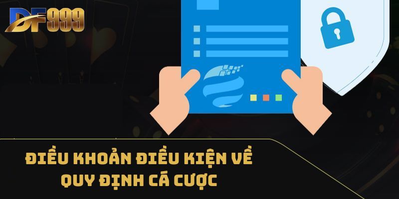 Điều khoản điều kiện về quy định cá cược