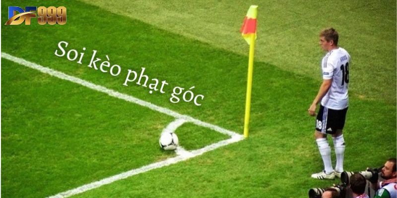 Top 4 hình thức cá độ kèo thẻ phạt phổ biến