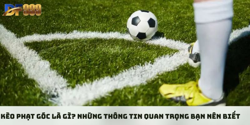 Kèo Phạt Góc Là Gì? Những Thông Tin Quan Trọng Bạn Nên Biết